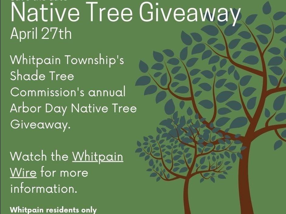 Native Tree Giveaway