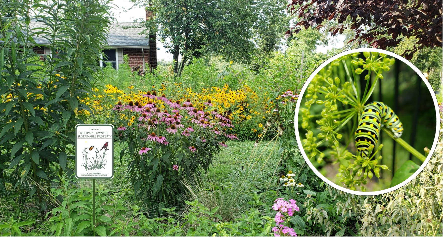 Sustainable Property